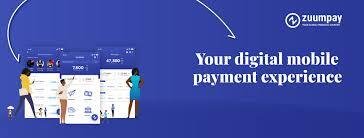 Mobile online payment solutions in Cameroon Zummpay