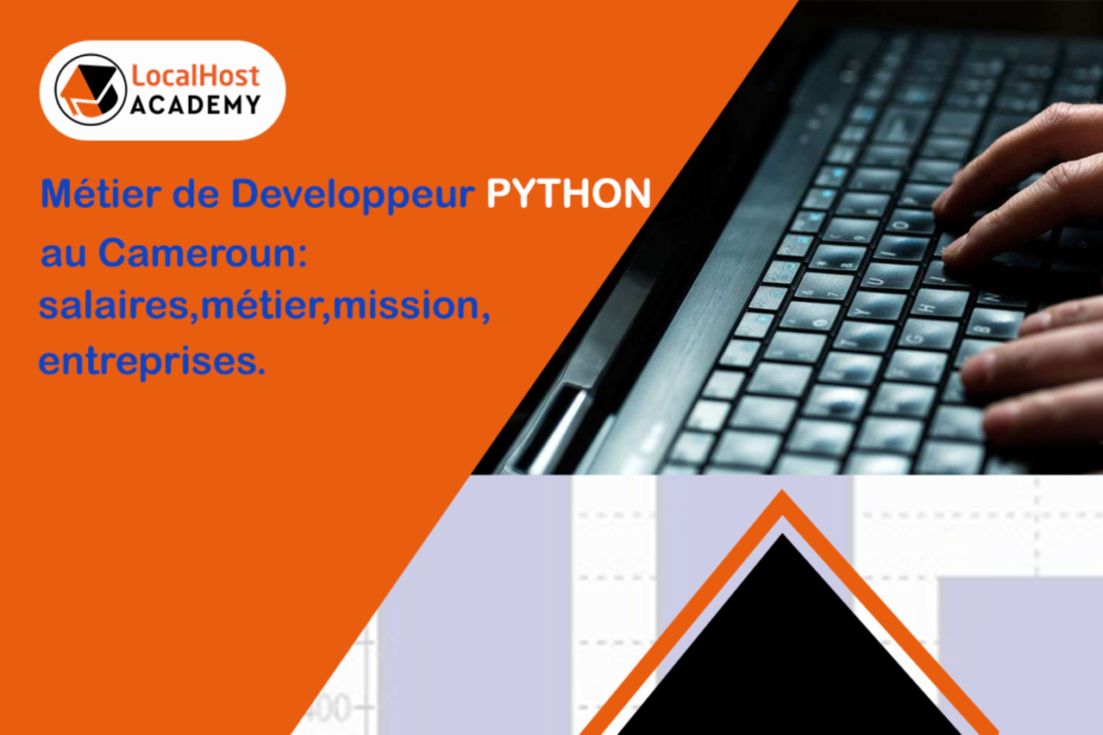 Métier de Développeur Python au Cameroun : Salaire, métier, missions, entreprises
