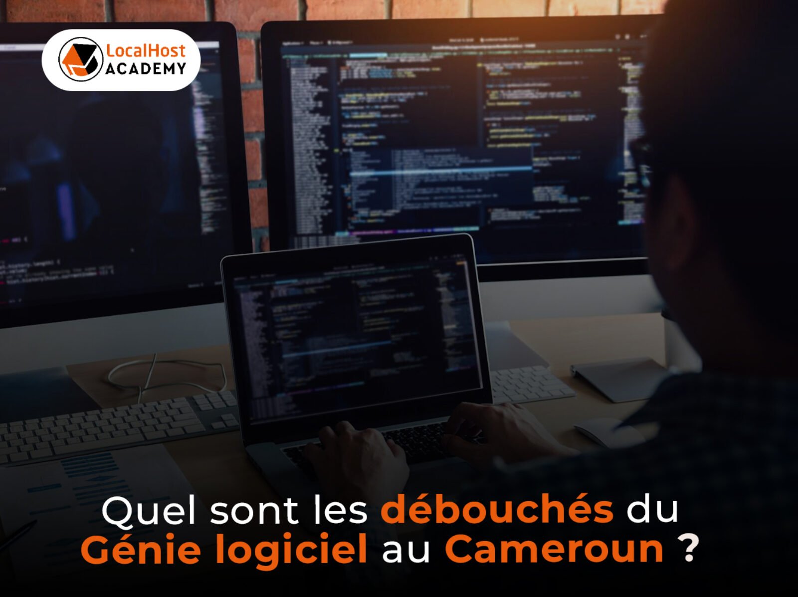 Quels sont les débouchés du génie logiciel au Cameroun ?