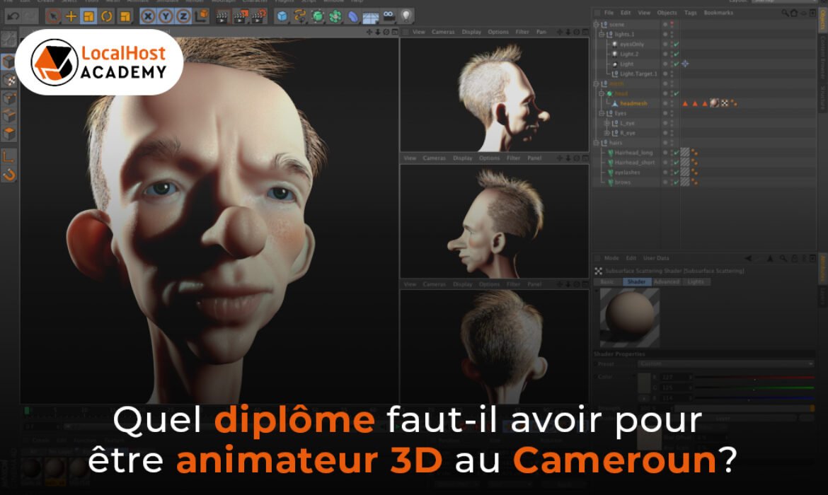 Quel diplôme faut-il avoir pour être animateur 3D au Cameroun ?