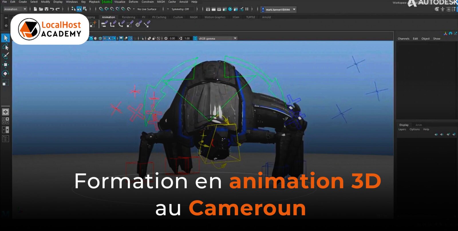 Formation en animation 3D au Cameroun