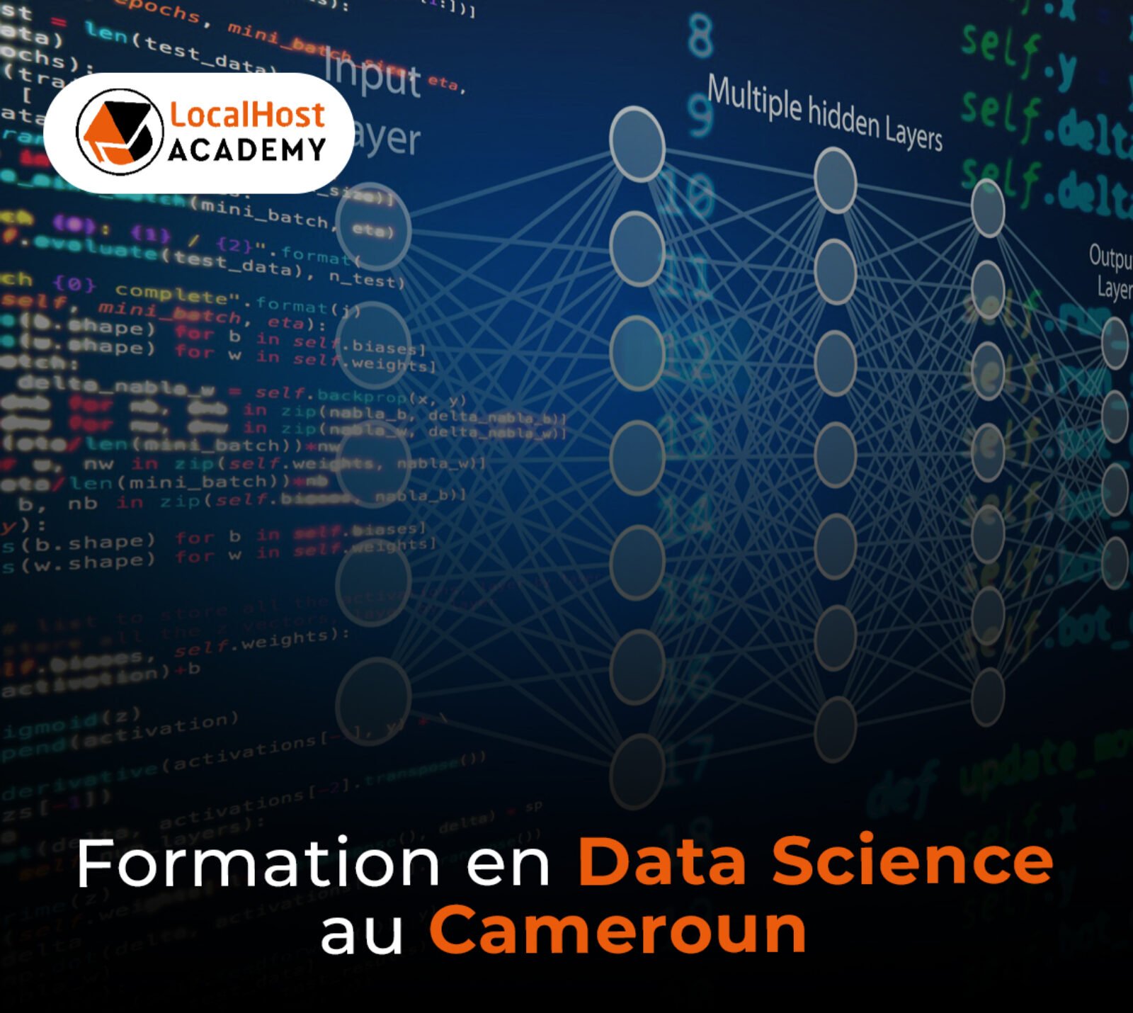 Formation en Data science au Cameroun